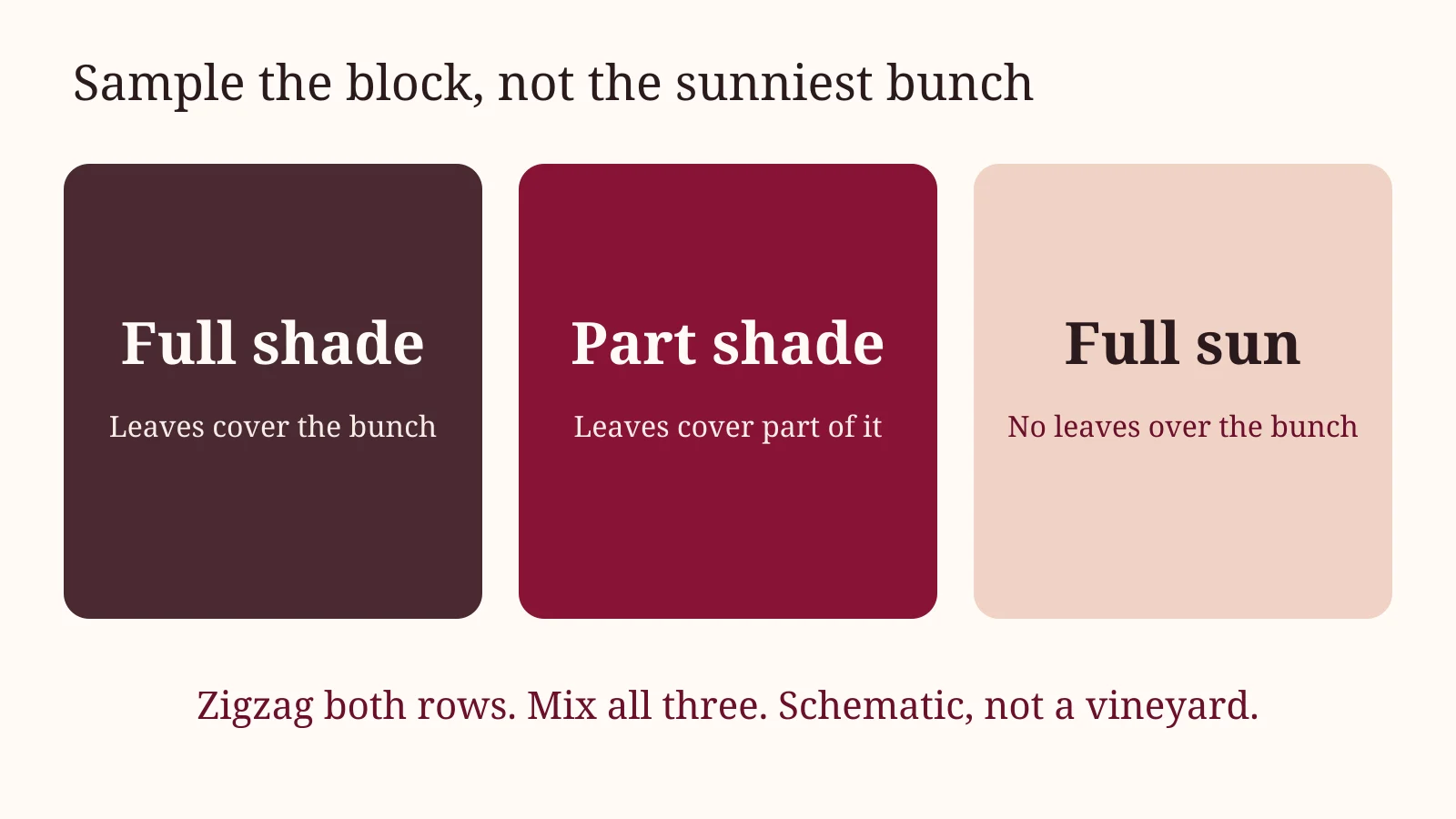 Full shade, part shade, and full sun: mix all three when you sample a block.